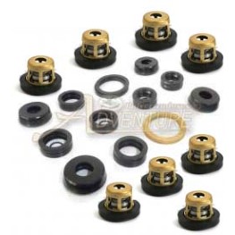 KIT REPARO JACTO JP 100 COM VÁLVULA				